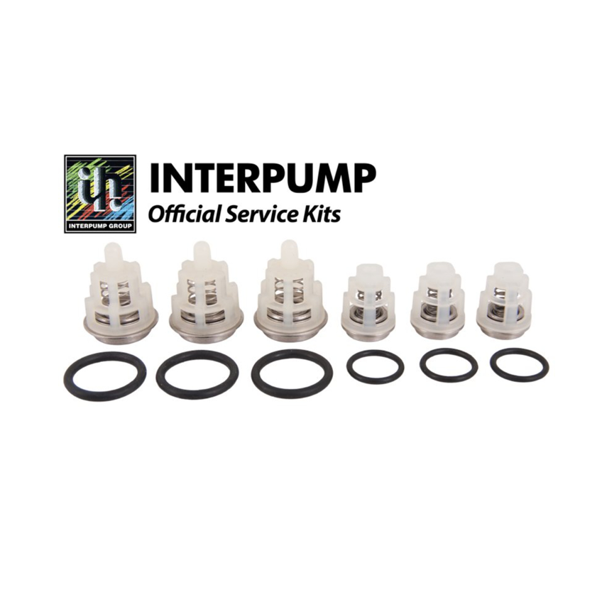 Interpump KIT 269 rubber valve set 3+3 (suction/supply valves)