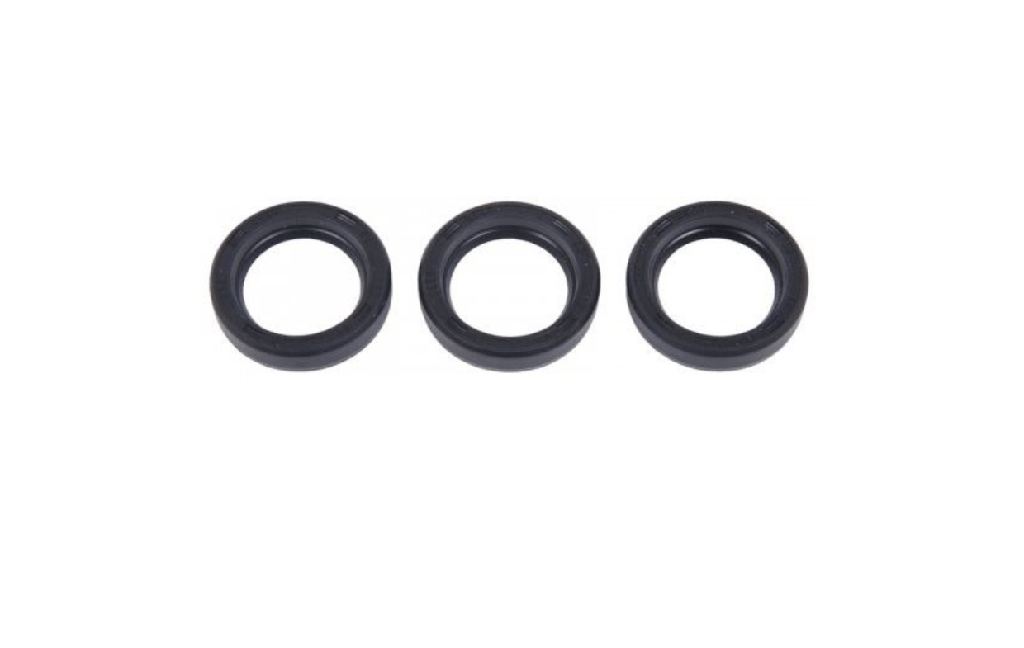 Interpump KIT 2 oil seals D.22x32x5.5