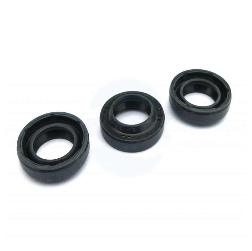 Interpump KIT 271 oil seal O15 58/59 SERIES