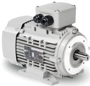 Elektromos motor MOLL MOTOR Y3-90LC3B37-UFS375 3,45kw